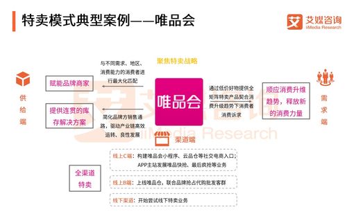 艾媒報告 2018中國B2C電商市場監(jiān)測報告
