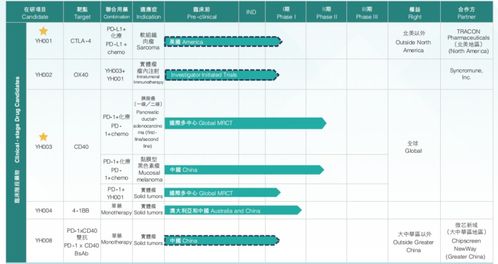 百奧賽圖 負天半子 賭對了行業,低估了江湖