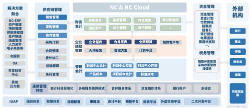 企業級bi應用與實踐2 用友erp 以nc系列產品為例