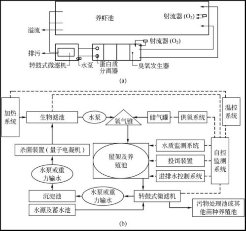 超詳細 水產養殖循環水系統圖